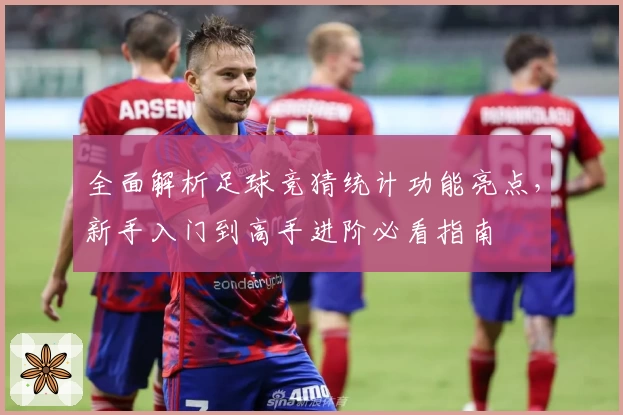全面解析足球竞猜统计功能亮点，新手入门到高手进阶必看指南
