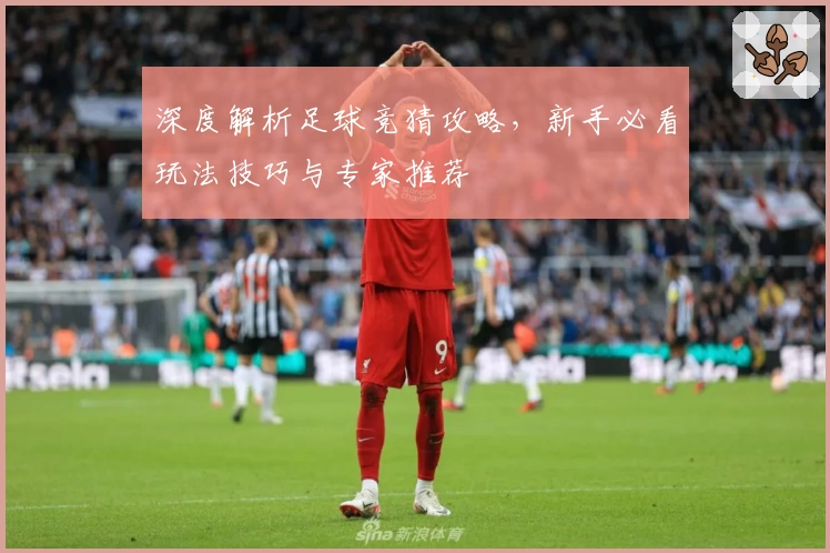 深度解析足球竞猜攻略，新手必看玩法技巧与专家推荐